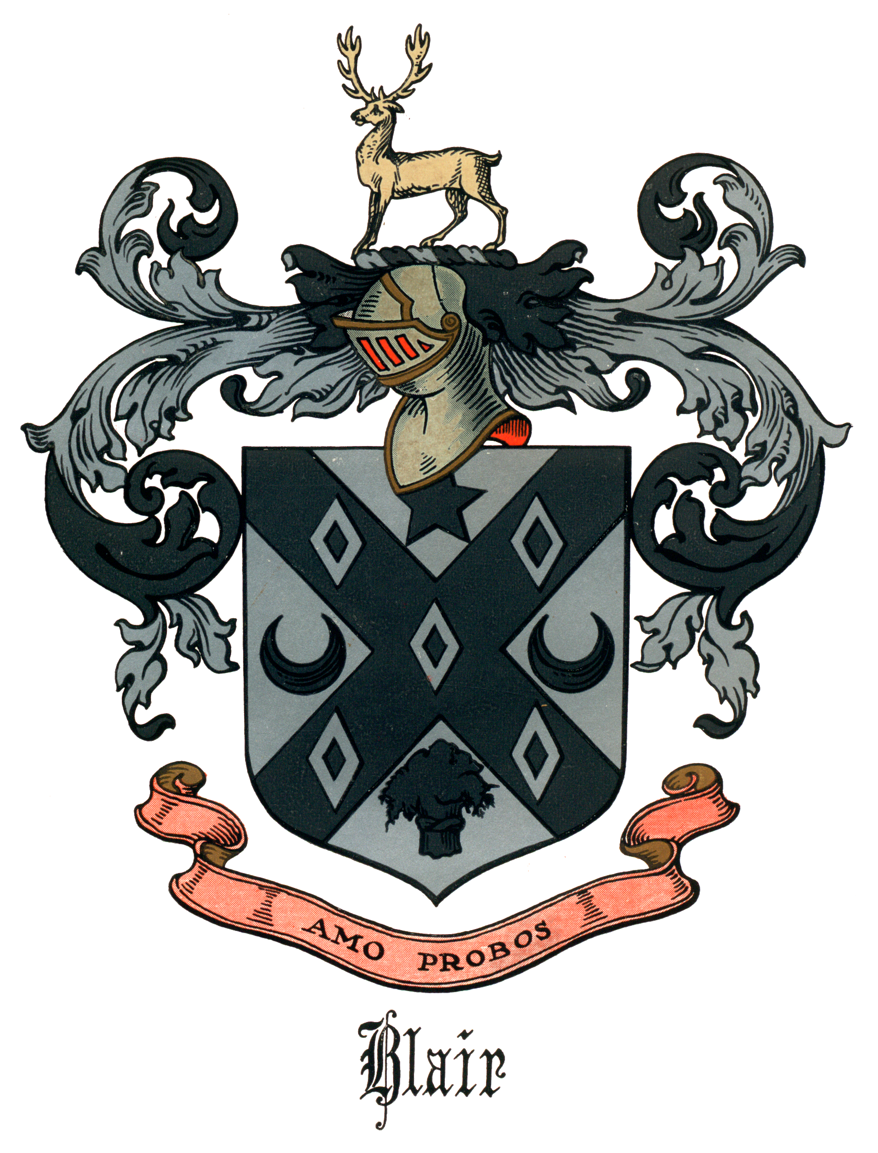 Blair Arms